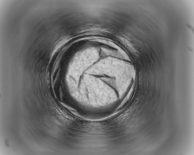 X0000096411164200802141534