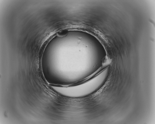 X0000096411165200802141534