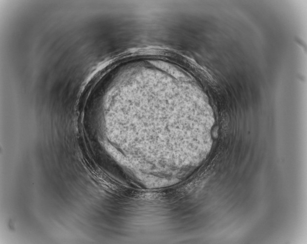 X0000096411166200802141534