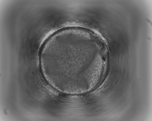 X0000096411167200802141534