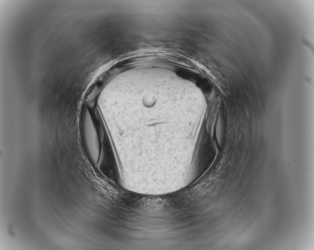 X0000096411168200802141534