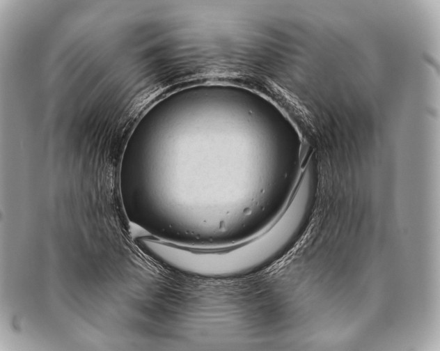 X0000096411169200802141534