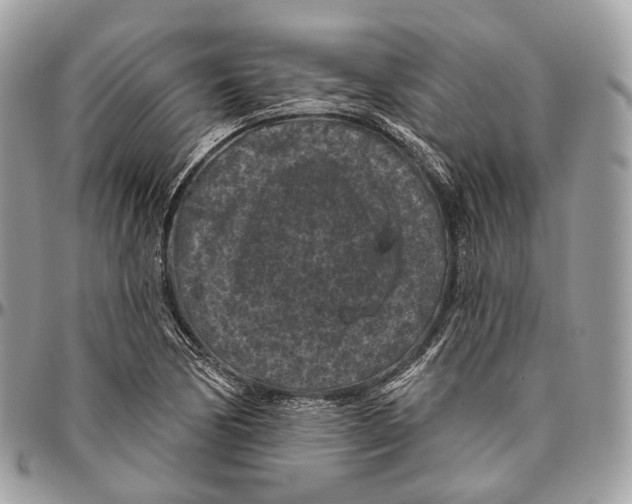 X0000096411170200802141534