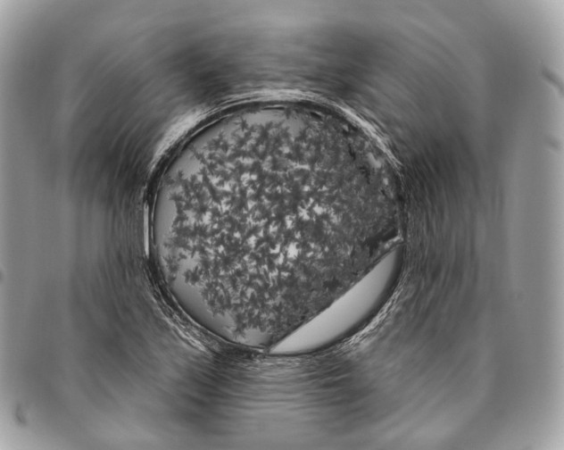 X0000096411171200802141534