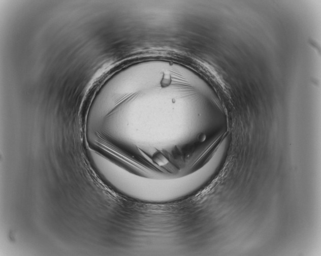 X0000096411172200802141534