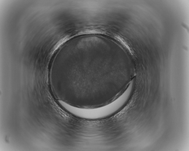 X0000096411173200802141534