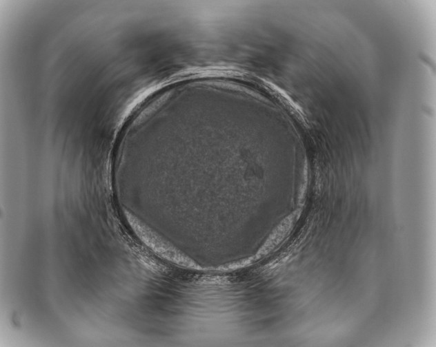 X0000096411174200802141534