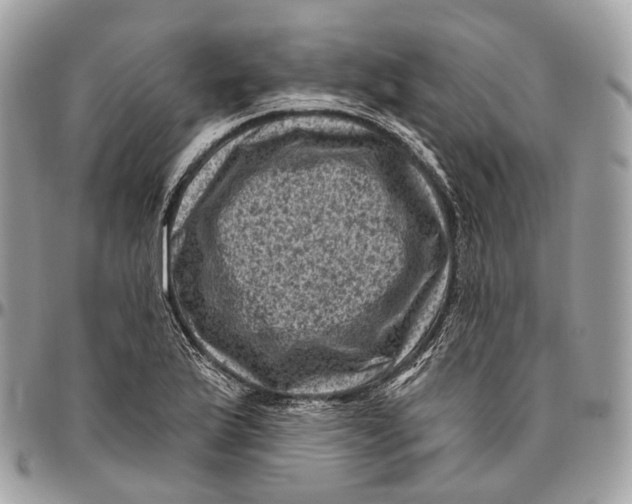 X0000096411175200802141534