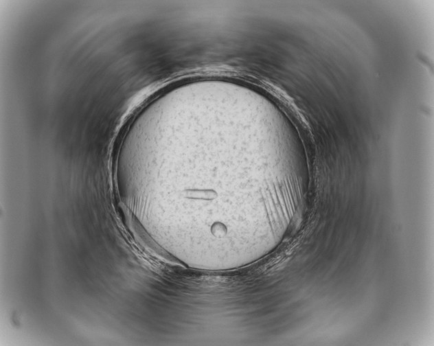 X0000096411176200802141534