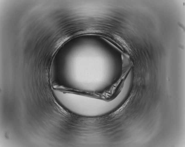 X0000096411177200802141534