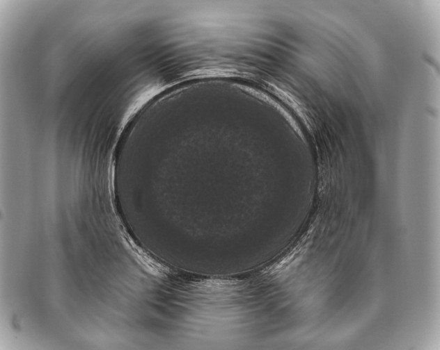 X0000096411179200802141534