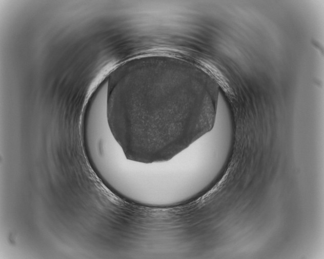 X0000096411180200802141534