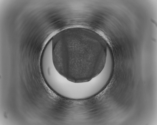 X0000096411181200802141534