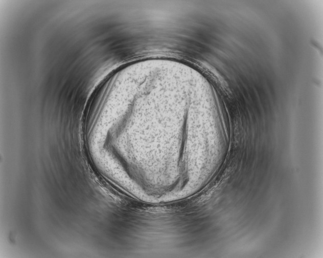 X0000096411182200802141534