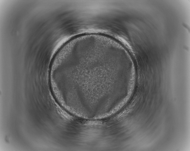 X0000096411183200802141534