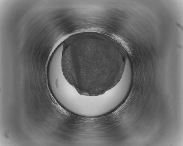 X0000096411184200802141534