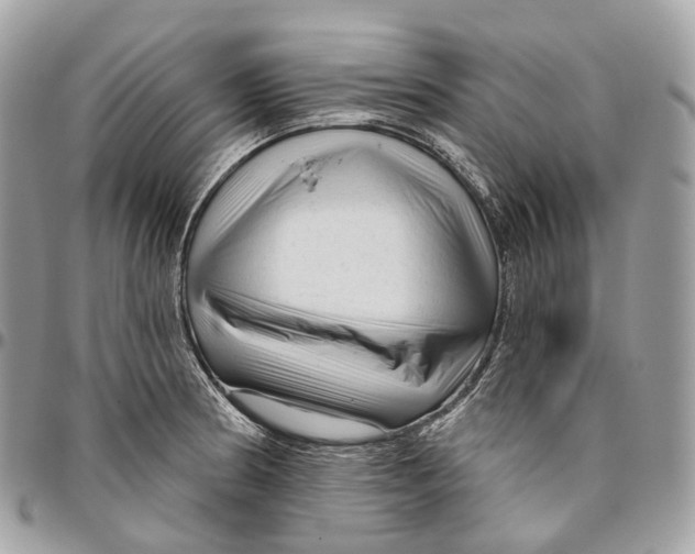 X0000096411186200802141534