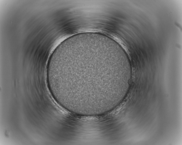 X0000096411187200802141534