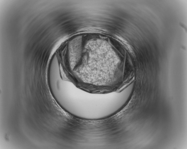 X0000096411188200802141534