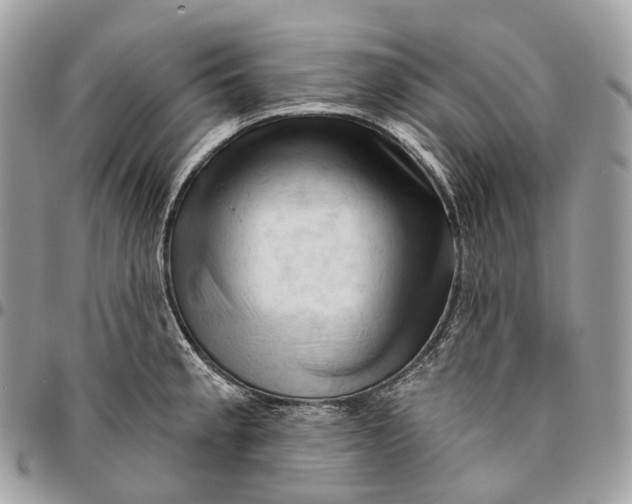 X0000096411189200802141534