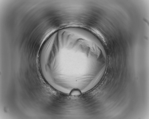 X0000096411190200802141534