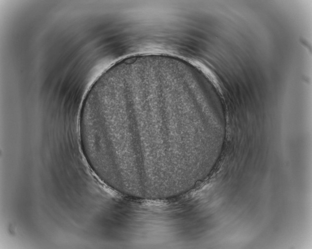 X0000096411191200802141534