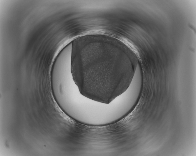 X0000096411192200802141534