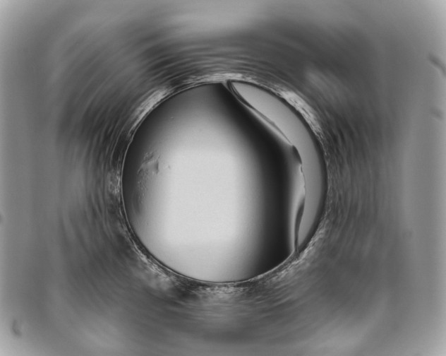 X0000096411193200802141534