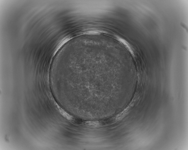 X0000096411194200802141534