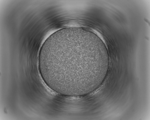 X0000096411195200802141534