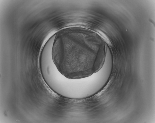 X0000096411196200802141534