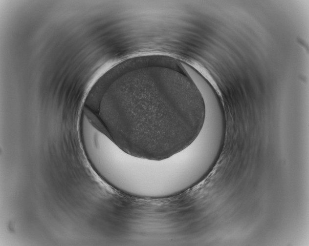 X0000096411197200802141534