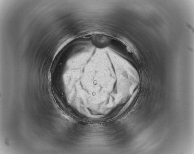 X0000096411198200802141534