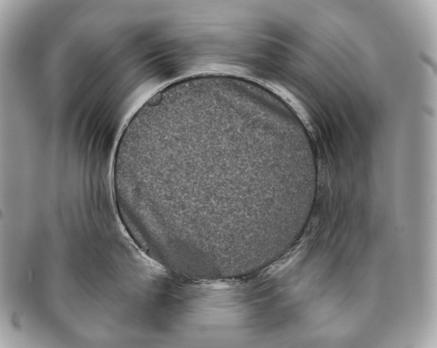 X0000096411199200802141534