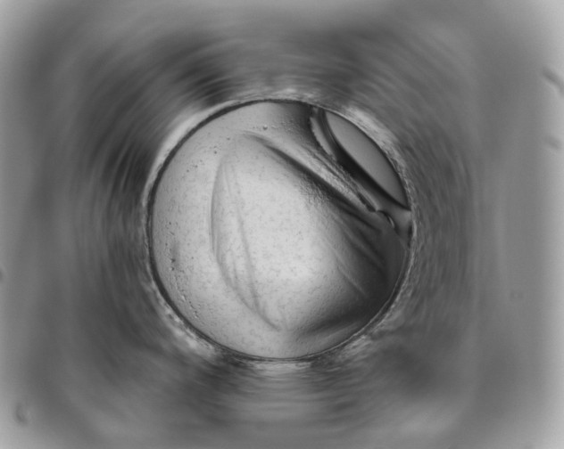 X0000096411200200802141534