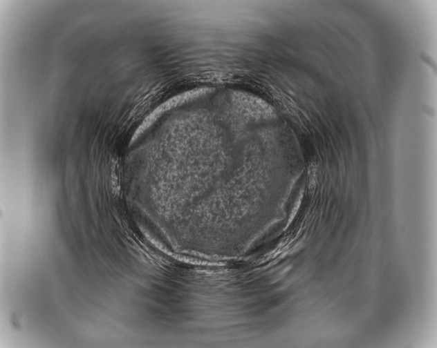 X0000096411202200802141533