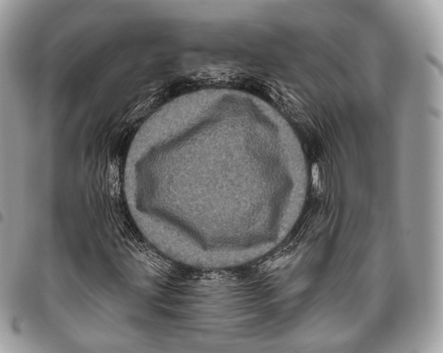 X0000096411203200802141533