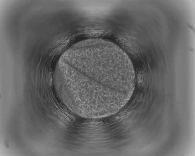 X0000096411204200802141533