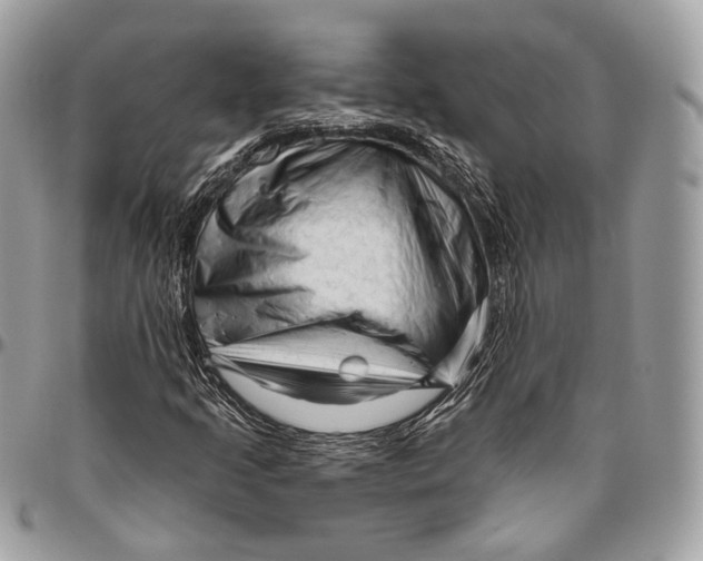 X0000096411205200802141533