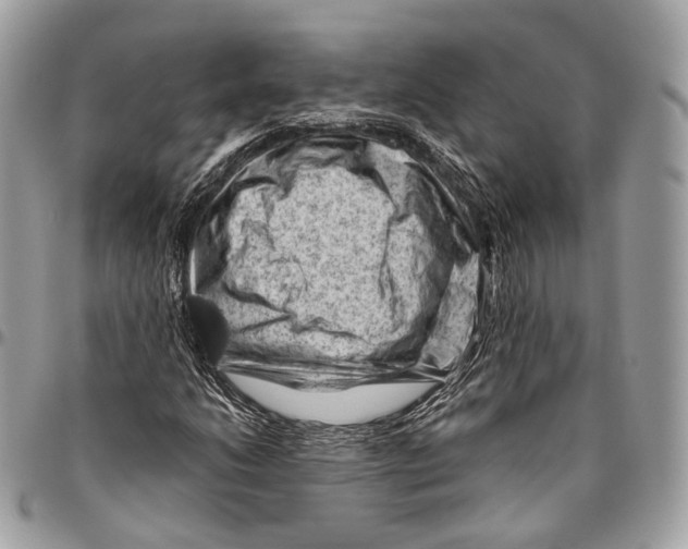 X0000096411206200802141533