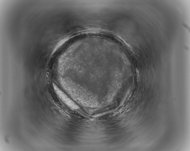 X0000096411208200802141533