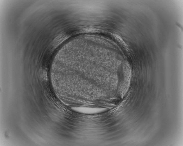 X0000096411209200802141533