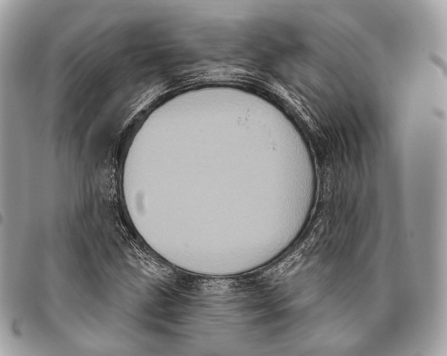 X0000096411211200802141533