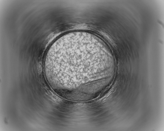 X0000096411212200802141533