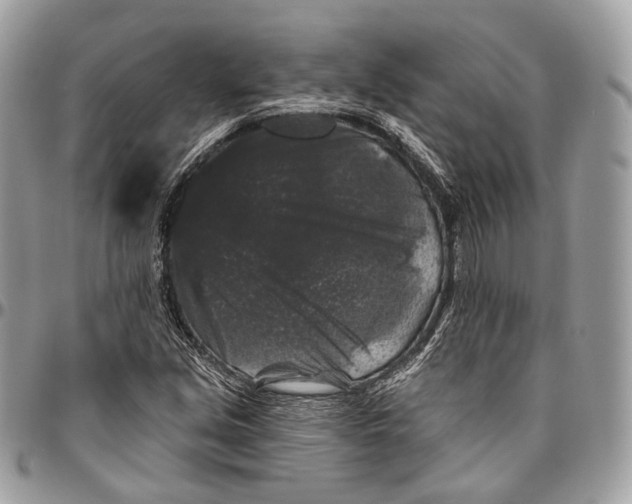 X0000096411213200802141533