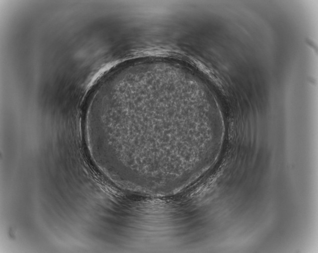 X0000096411214200802141533