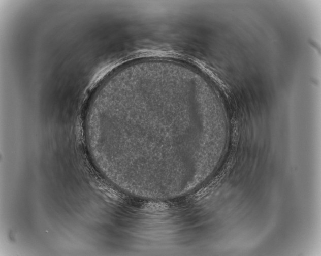 X0000096411215200802141533