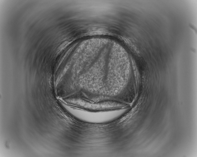 X0000096411217200802141533