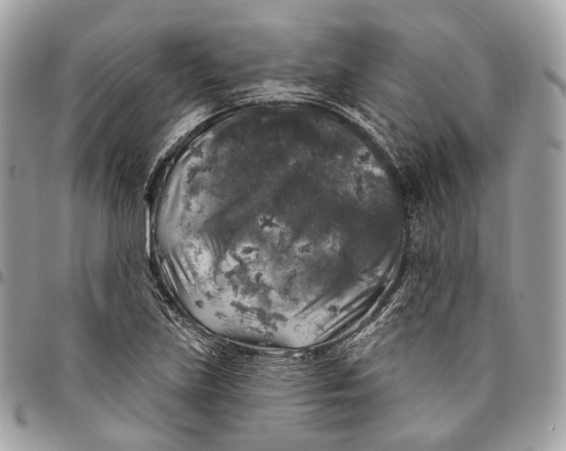 X0000096411219200802141533