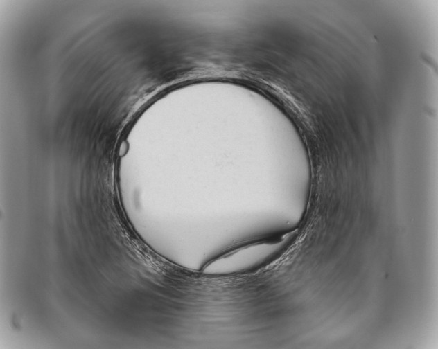 X0000096411220200802141533